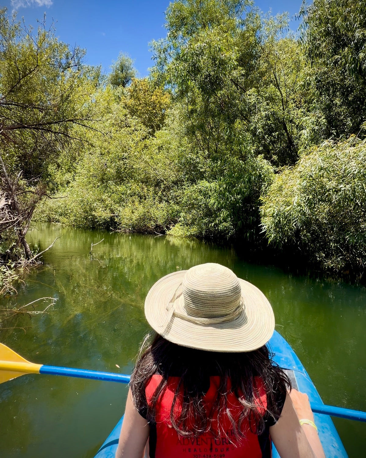 Kayaking trip down the Russian River to celebrate Alice's 60th!