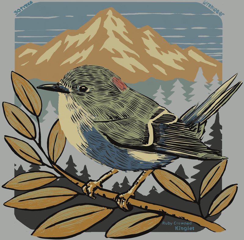 Ruby-crowned Kinglet